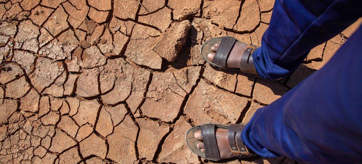 Somalia’s Crisis Worsens Amid Drought, Conflict, and Rising Prices