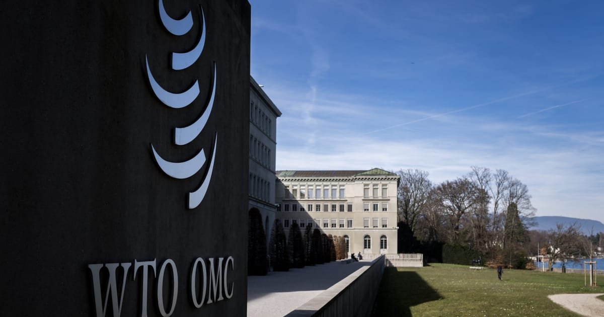 The Decline of the World Trade Organization