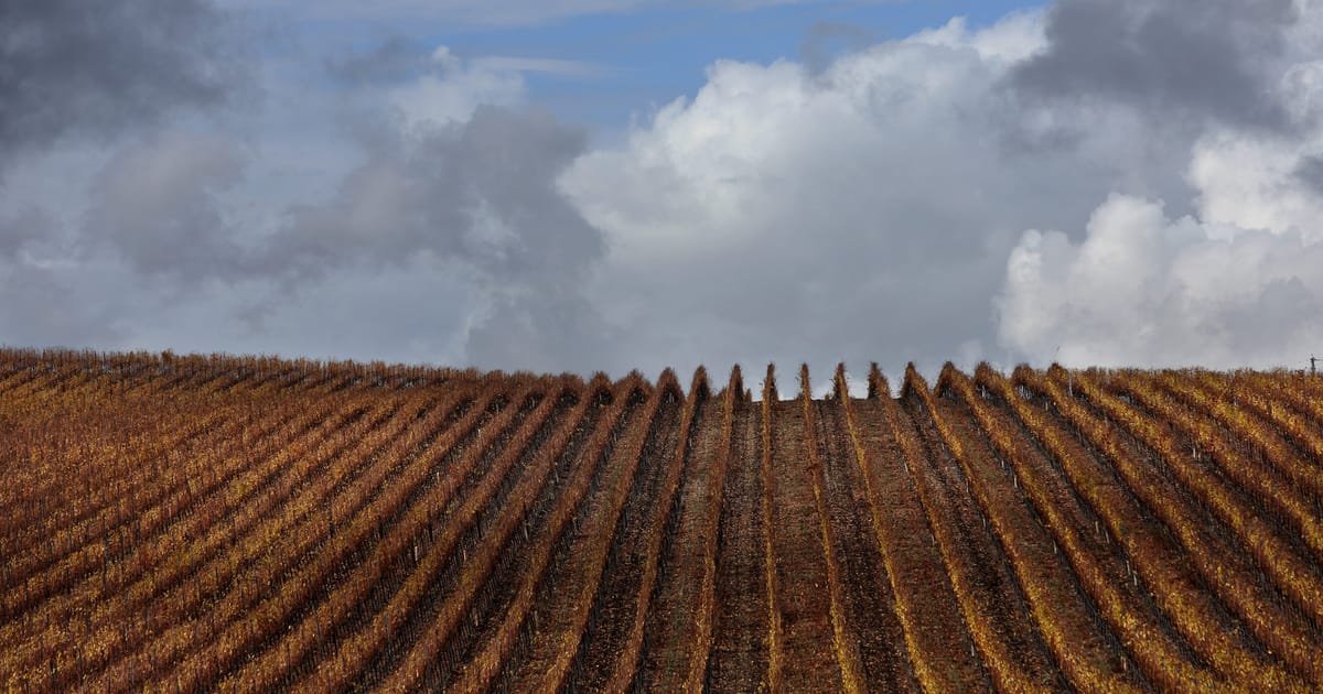 Trump wants Europe to buy more U.S. farm goods, but it can’t.