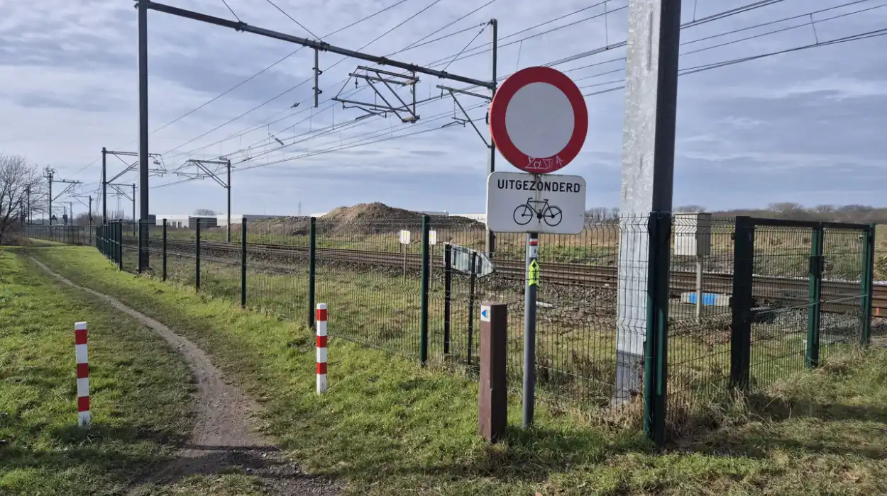 Uncertainty looms over Tielt forest project as NMBS plans land sale