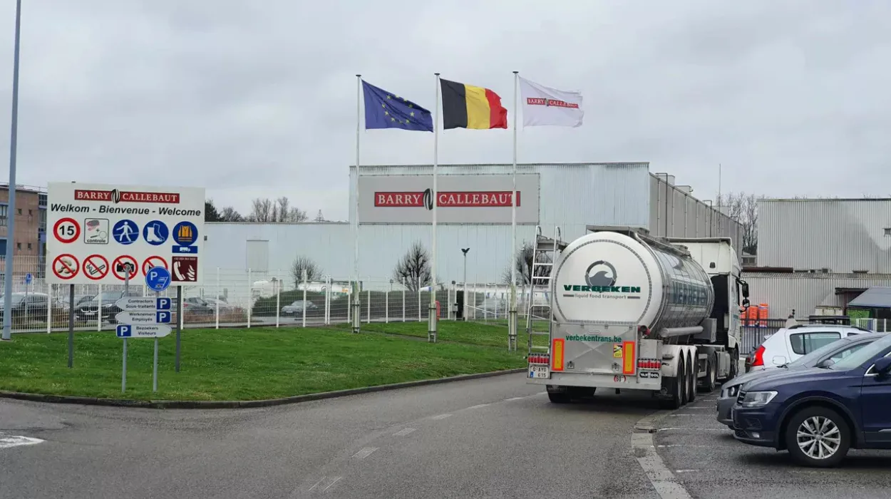 Barry Callebaut Doubles Chocolate Production in Halle to 338,000 Tons