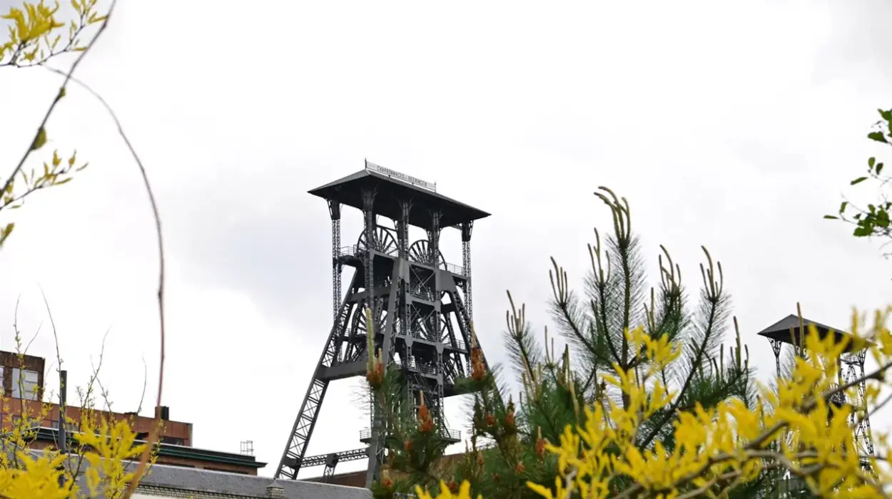 Beringen Boosts Tourism with 60,000 Overnight Stays and New Mining Attractions