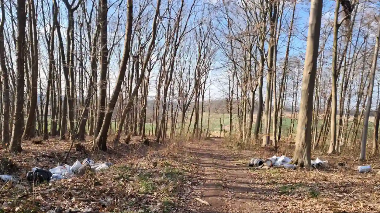 Illegal Dumping in Bertembos Marks Third Case in Kortenberg