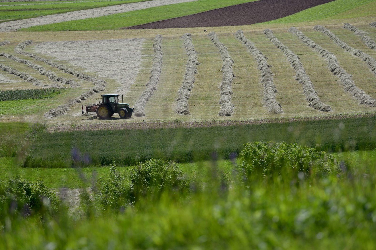 Minister Ćalušić Advocates for a Consistent and Reliable Common Agricultural Policy