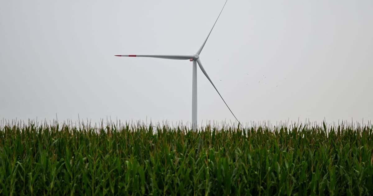 Report Warns China Could Use Wind Turbines to Blackmail Germany
