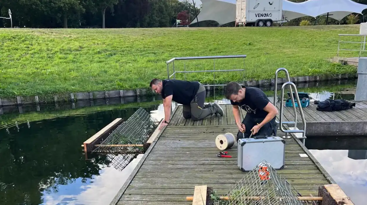 Sint-Niklaas’ De Ster Domain Tackles Blue-Green Algae with Clay