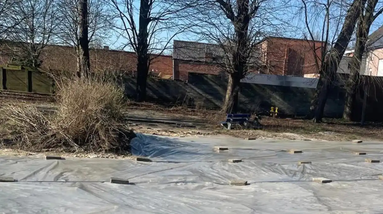 Willebroek School Demolition Halted Due to Asbestos Discovery