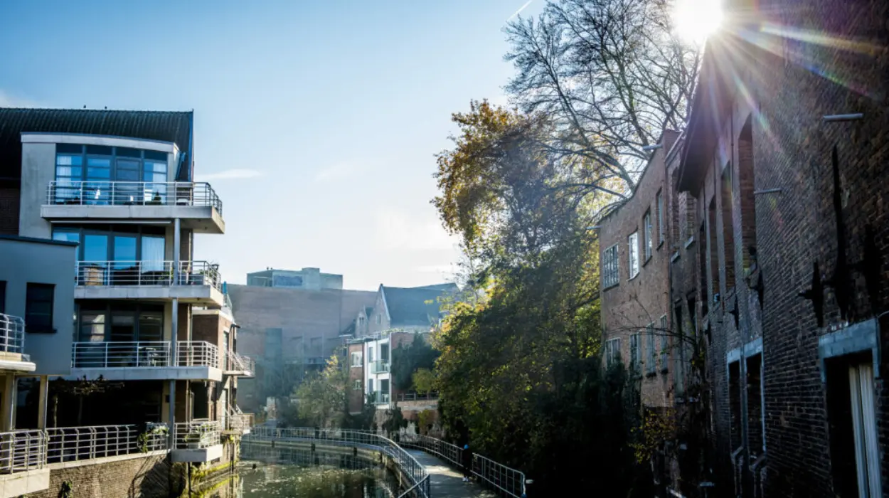 Belgium Sunday Forecast: Sunny with Cool Easterly Winds, Temperatures Between 7–14°C