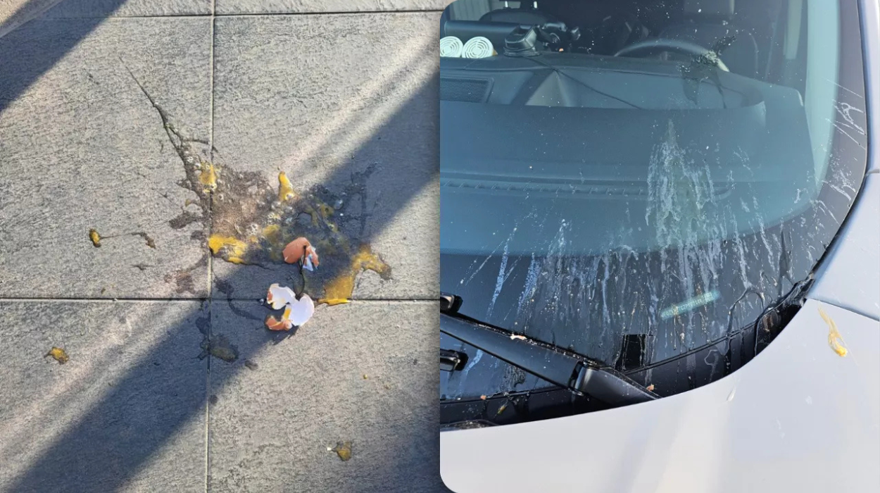 Drone Drops Raw Eggs on McDonald’s Customers in Bilzen