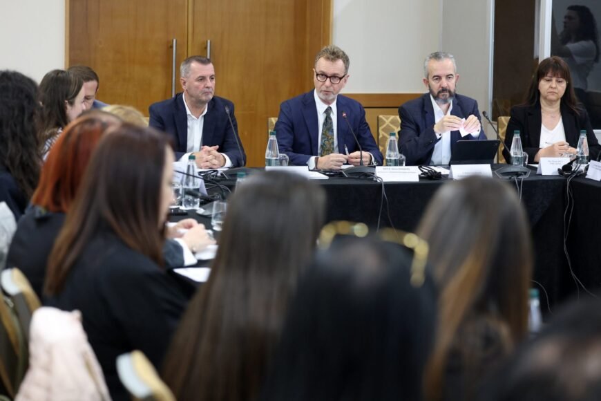 EU Backs NGO Group for Election Monitoring to Strengthen Democratic Institutions in Albania