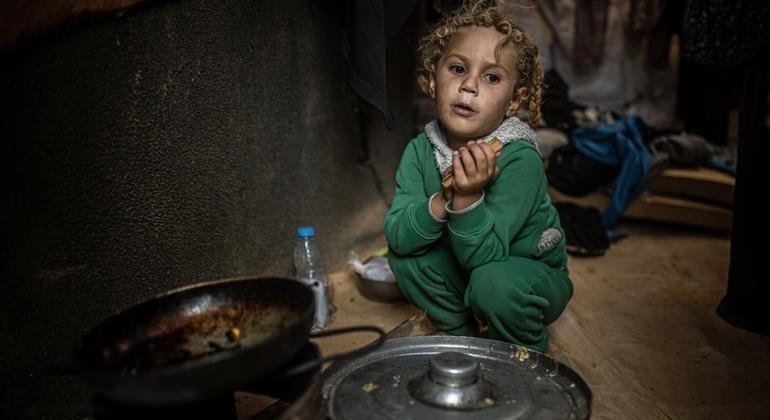 Gaza Aid Crisis Worsens as Border Remains Closed for 50th Consecutive Day