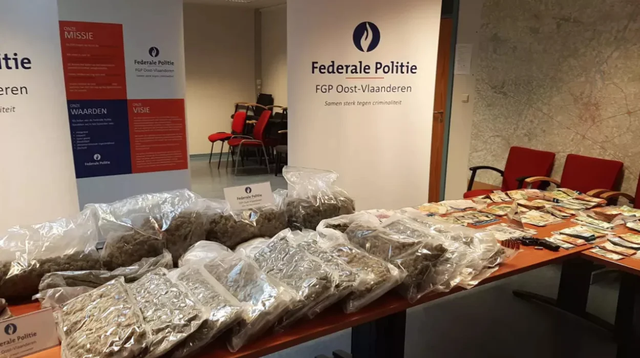 Ghent Court Convicts Chinese Gang for Possession of 2 Tons of Cannabis