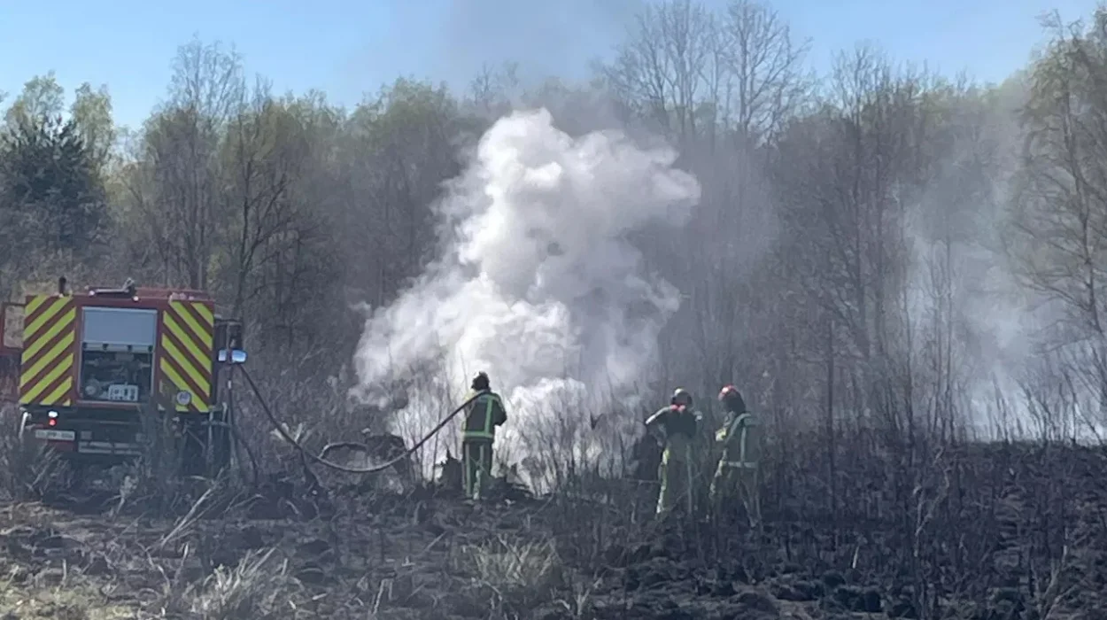 Heath Fire Near Zwartberg Airport in Genk Burns Over 1 Hectare Today