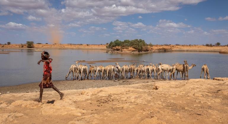 Hunger Grips Ethiopia as UN Halts Aid Due to Funding Shortfall