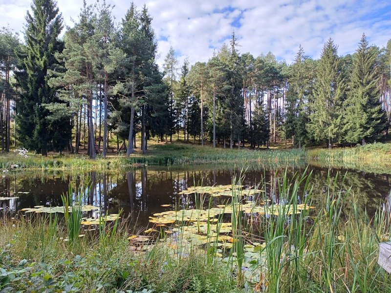 Index: Czech Republic Rises from 22nd to 19th Position Compared to EU Environment