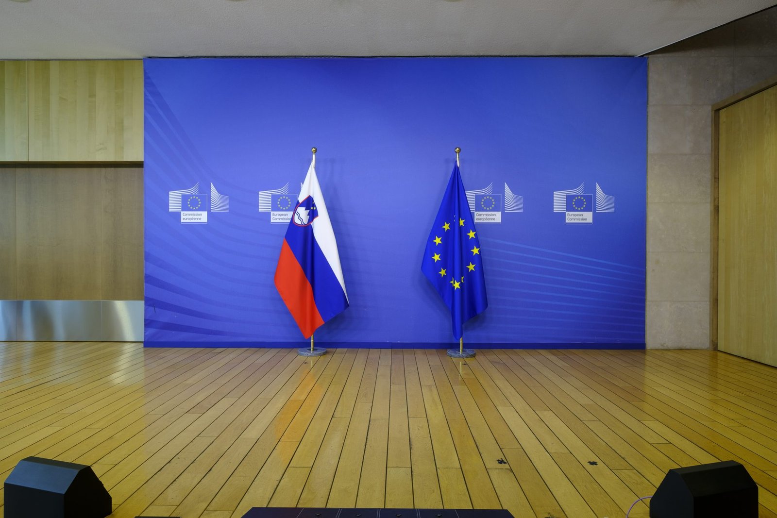 National Assembly Approves Declaration on EU Action Guidelines