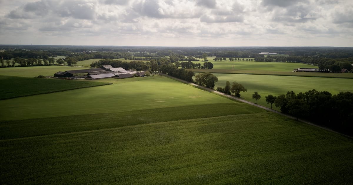 Netherlands Postpones Nitrogen Emissions Goal, Defying National Courts and EU Directives
