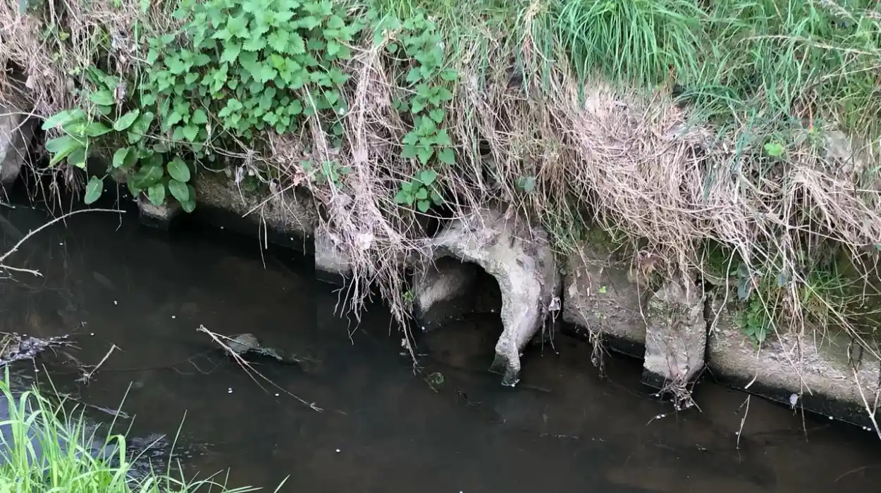 Pollution Turns Molenbeek Stream in Ronse Black