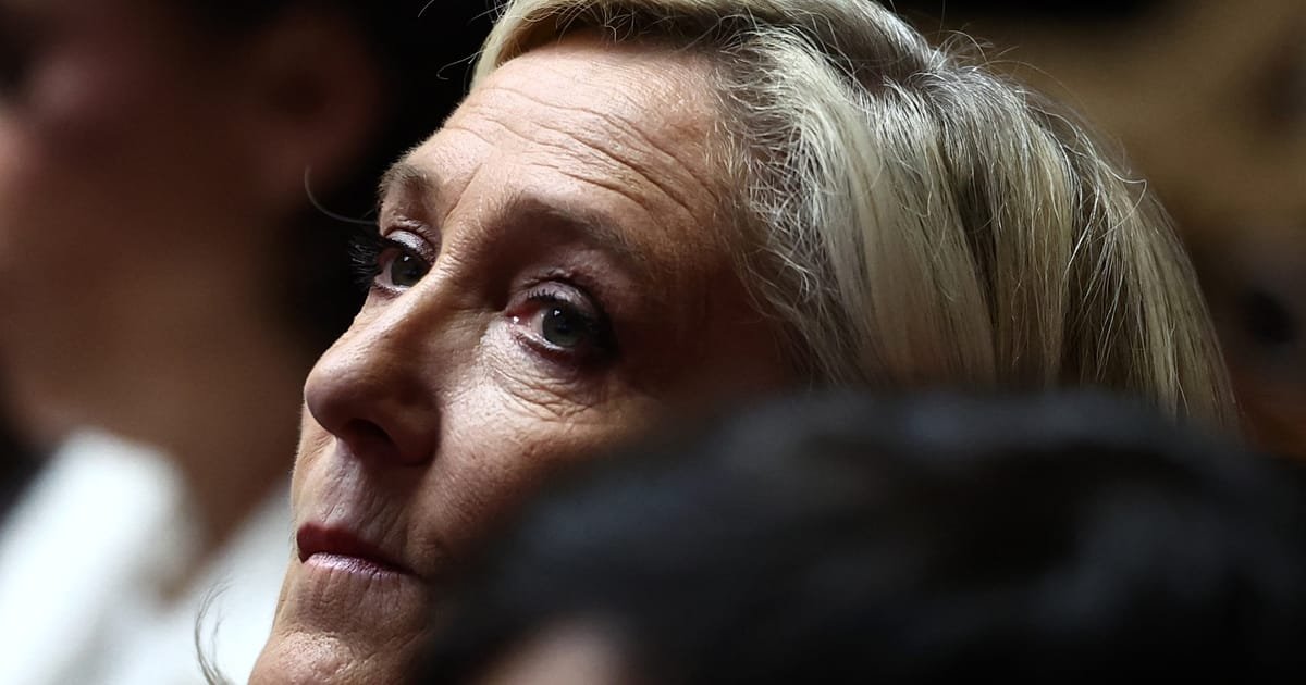 Procès en appel de Marine Le Pen : les scénarios possibles