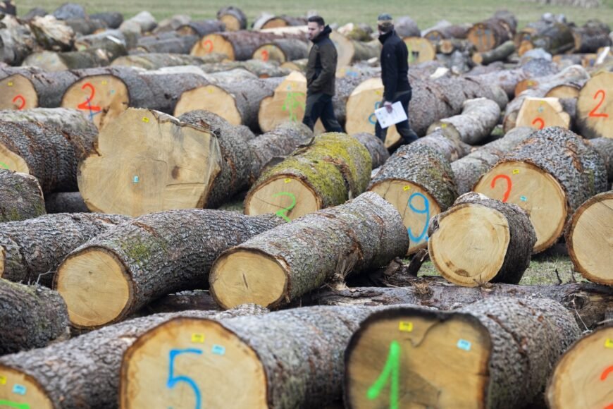 Austria and Luxembourg Push for Streamlined EU Deforestation Regulations