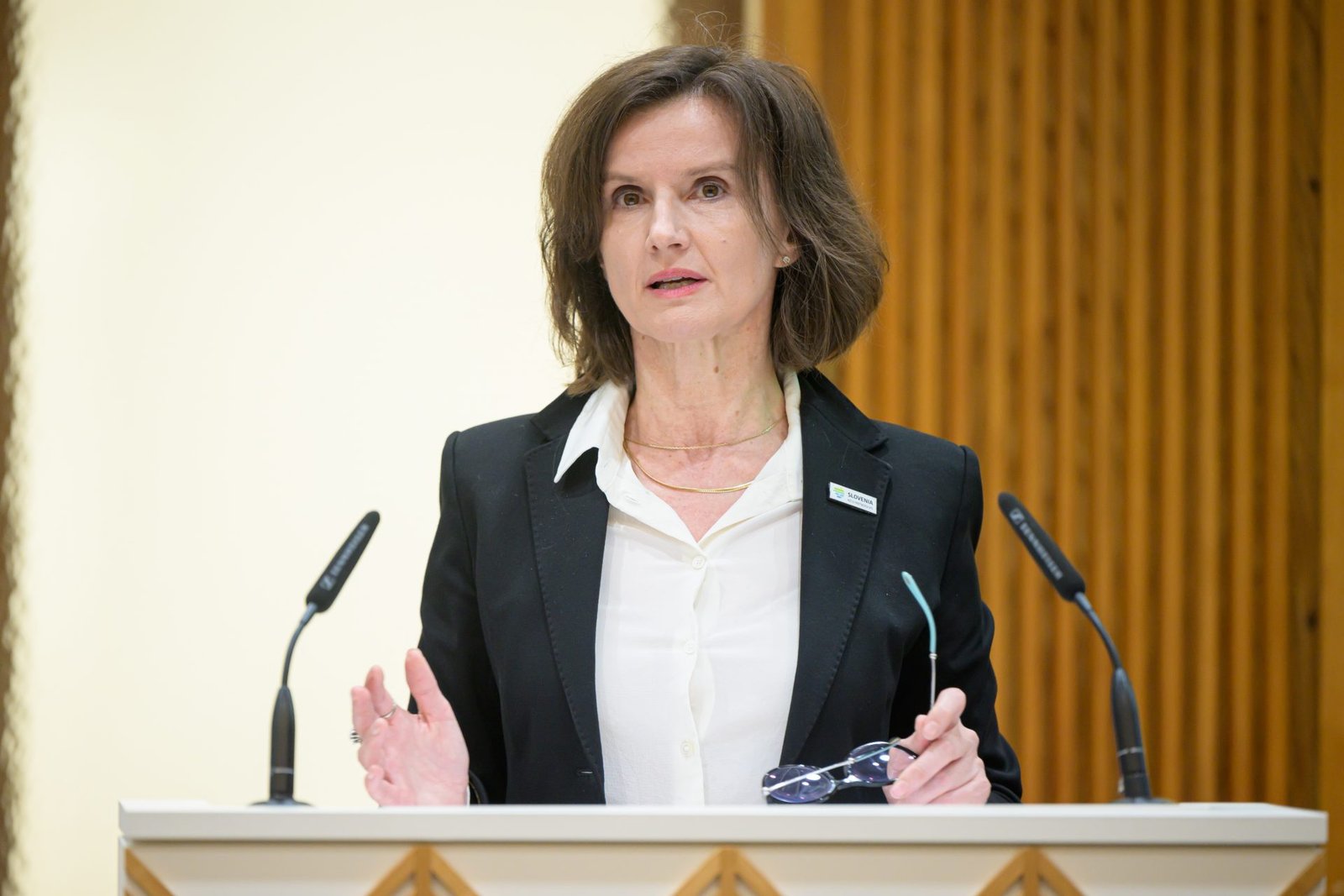 Slovenia Advocates for Continued UN Distribution of Aid in Gaza
