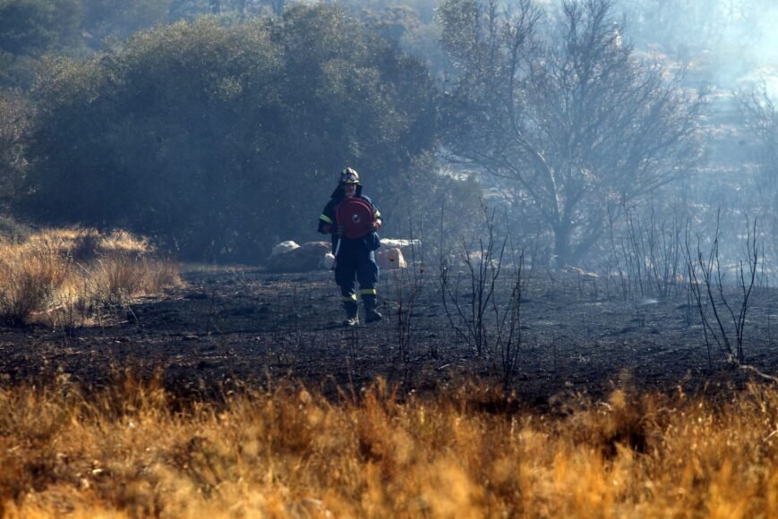 The EU Deploys Firefighting Teams and Aircraft to Assist Countries like Greece