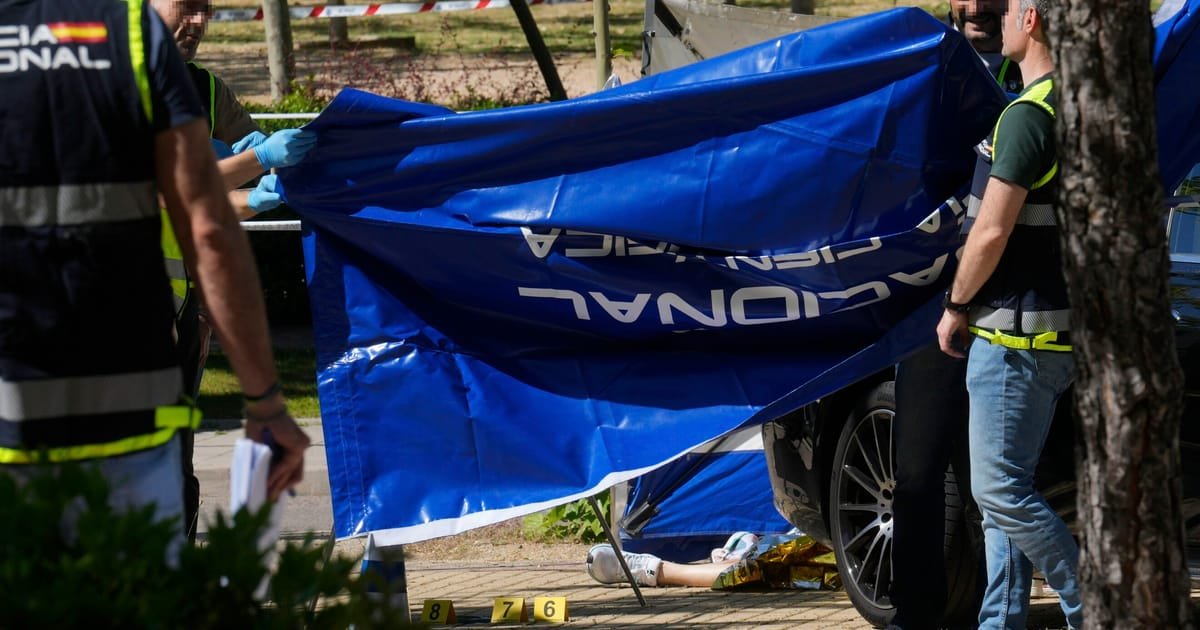 Ukrainian Political Power Broker Fatally Shot in Spain