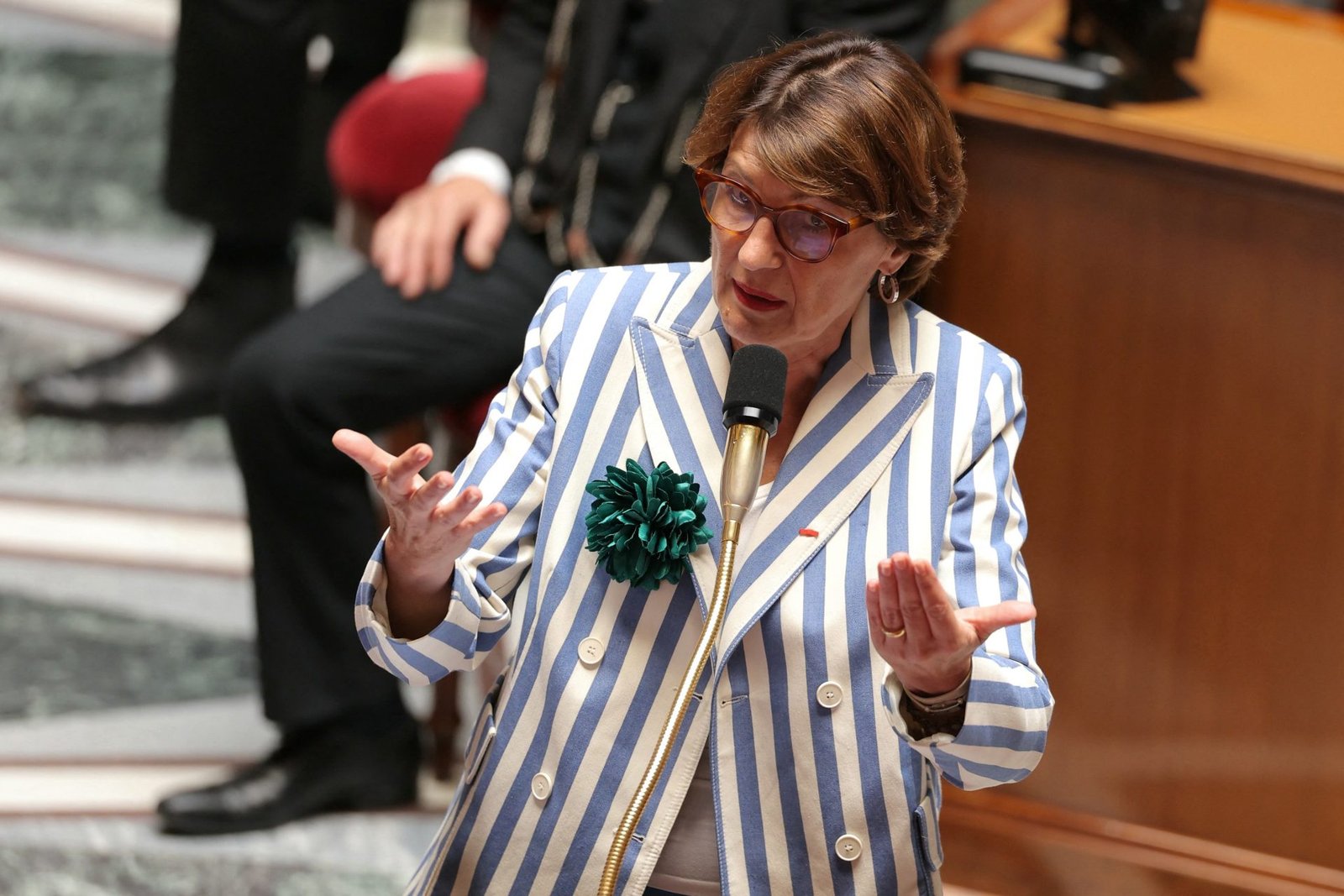 EU-Mercosur Agreement: France cautions against a "coerced approval" from Brussels