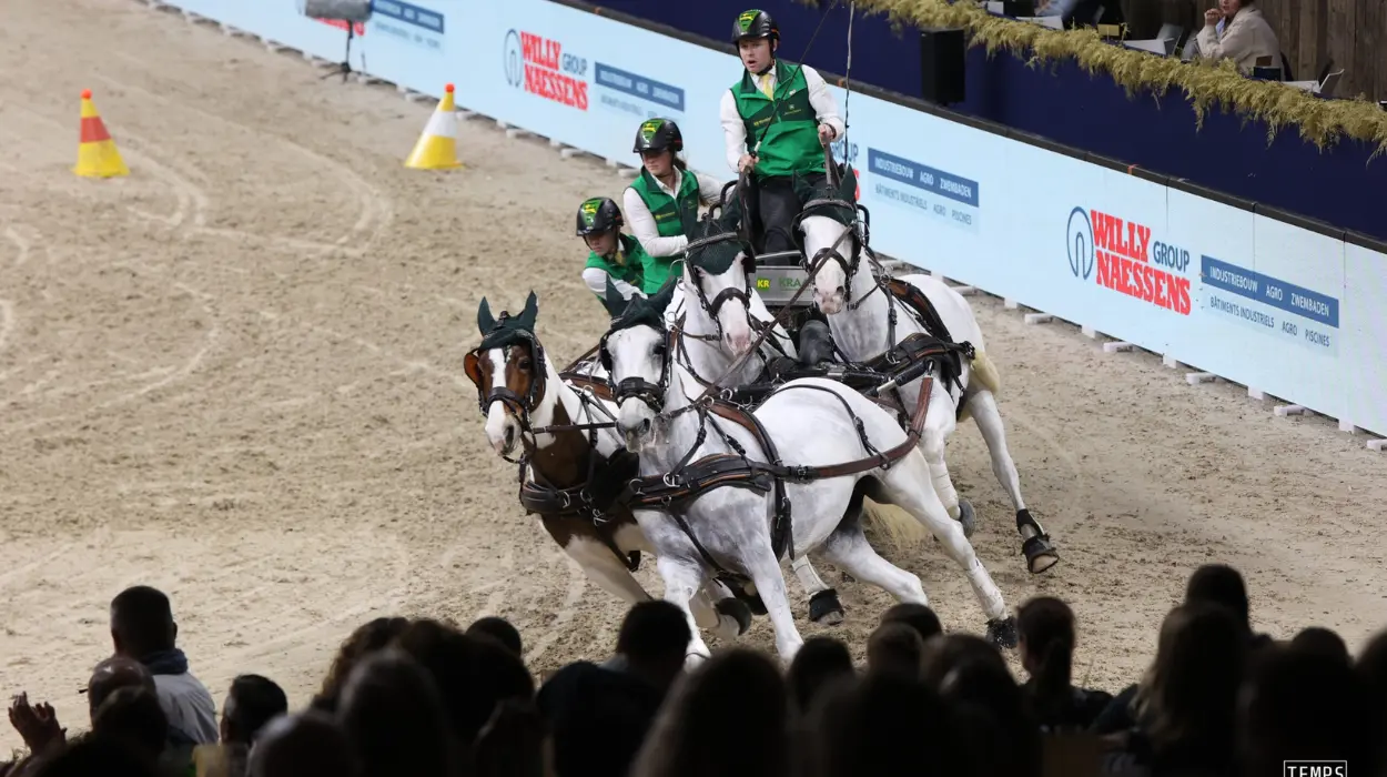 Event Planners Displeased with Nekkerhal Mechelen Closure