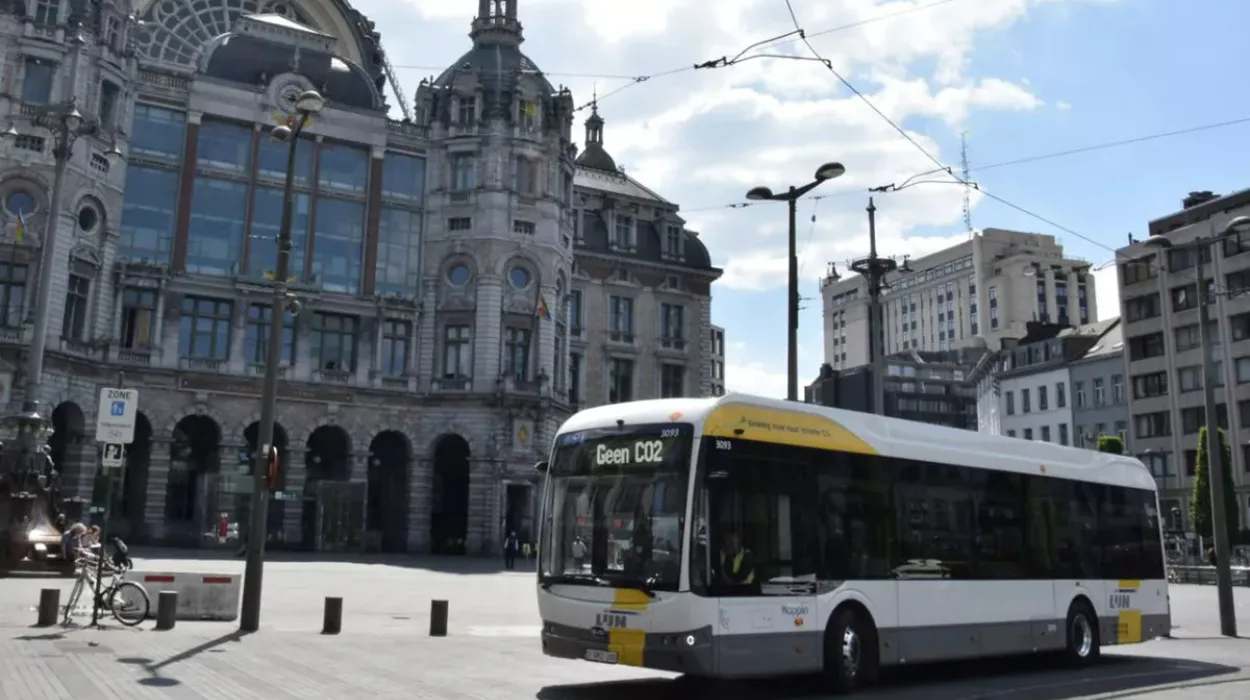 First BYD Electric Buses Now Operating in Antwerp