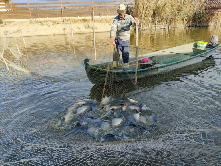 Romania Enhances Midia Port via POPAM Program, Boosting Fishermen’s Activities in the Black Sea Region