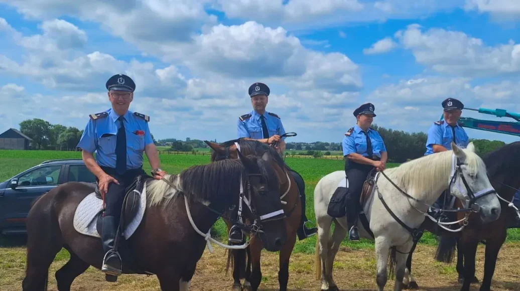 Runaway Horse Injures Three at Ronse Fiertelommegang