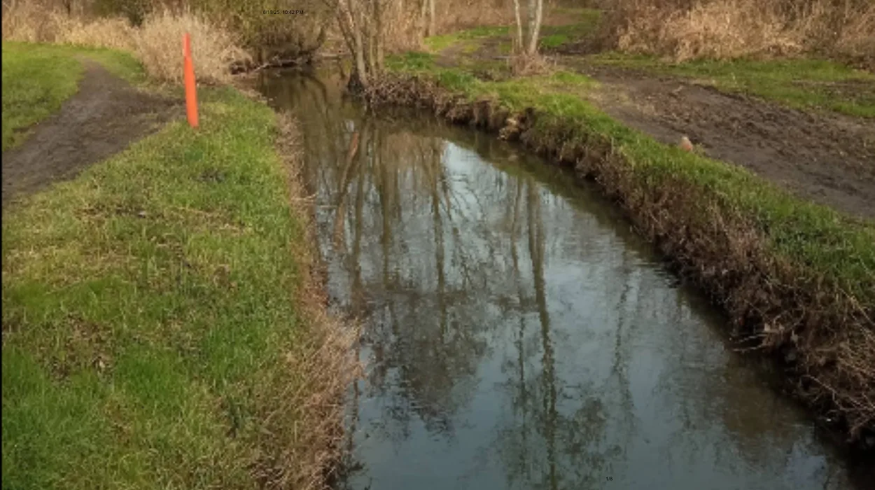 Urgent Call as Water Loss Hits Kampenhout Stream