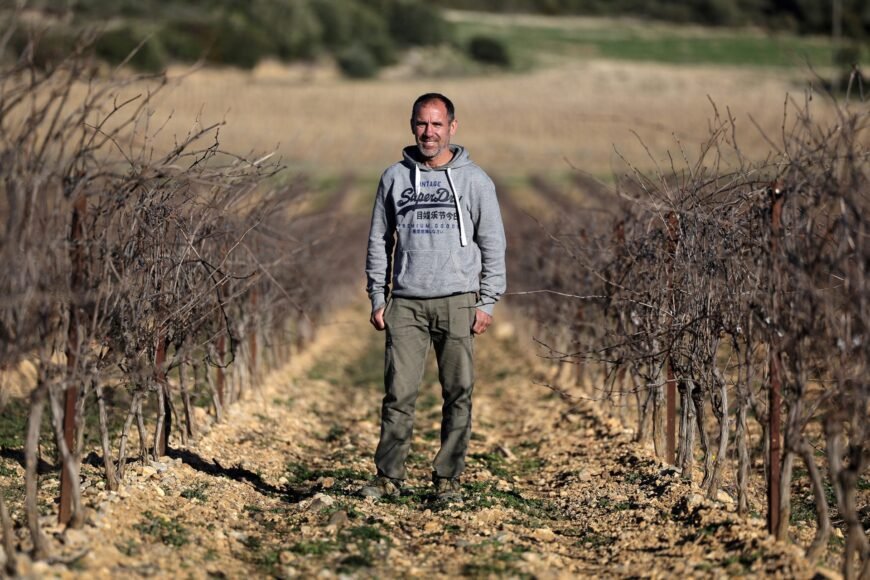 Viticulture: European Plan Approved by the Twenty-Seven, Simplifying Export Labeling