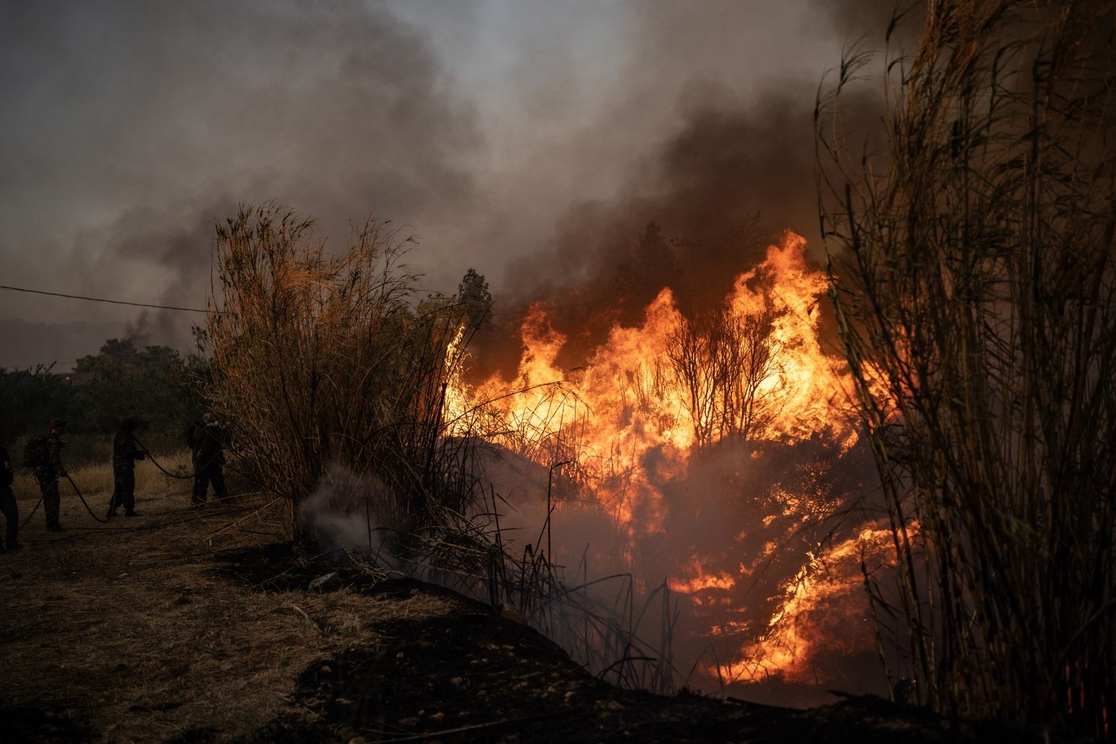 Wildfire Prevention: European Funding’s Uncertain Impact, Report Expresses Regret