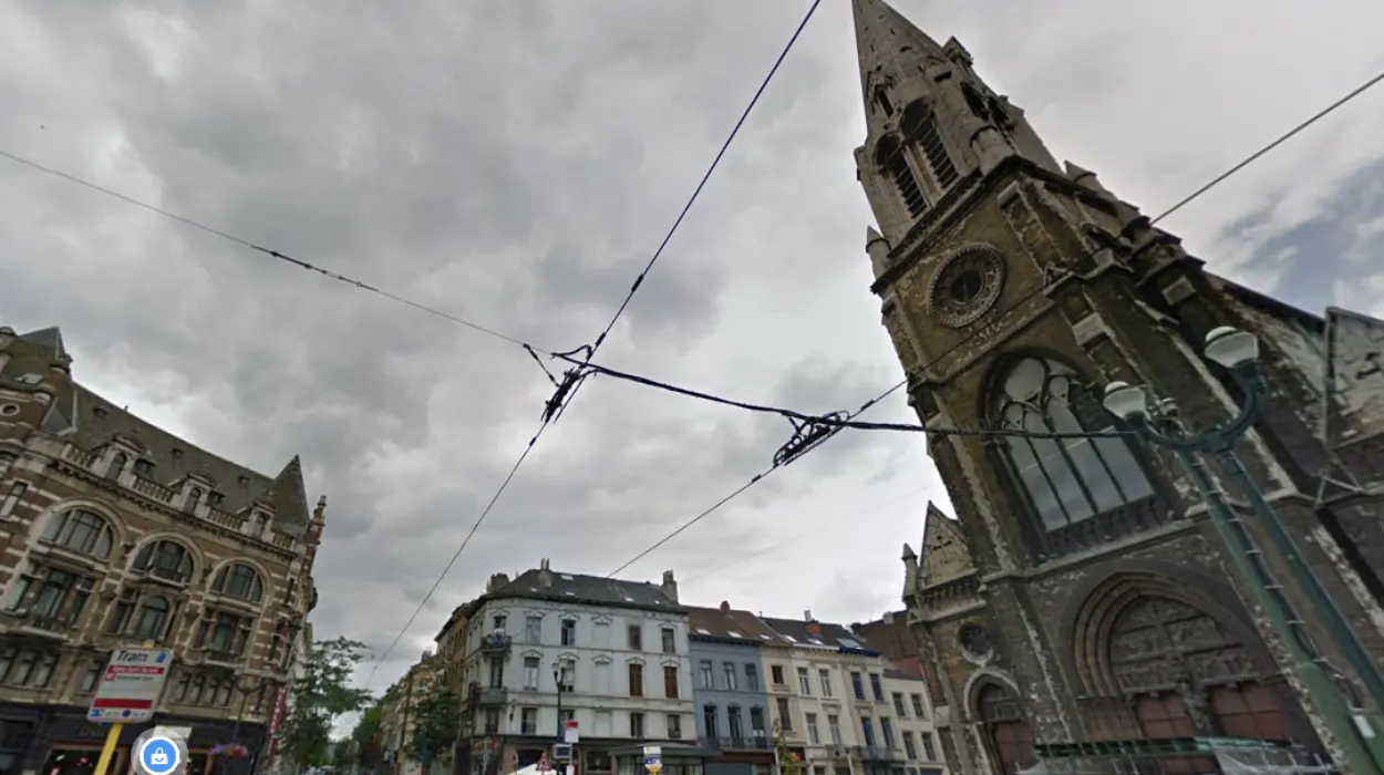 Arrest Made in Schaerbeek Tree Vandalism Spree