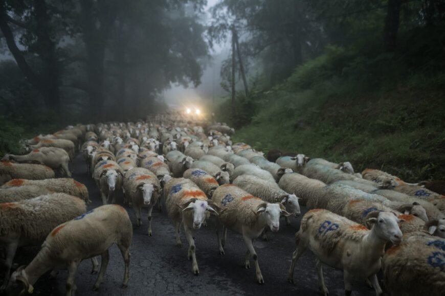 Budget PAC: French Agriculture Minister Criticizes Commission’s Proposal