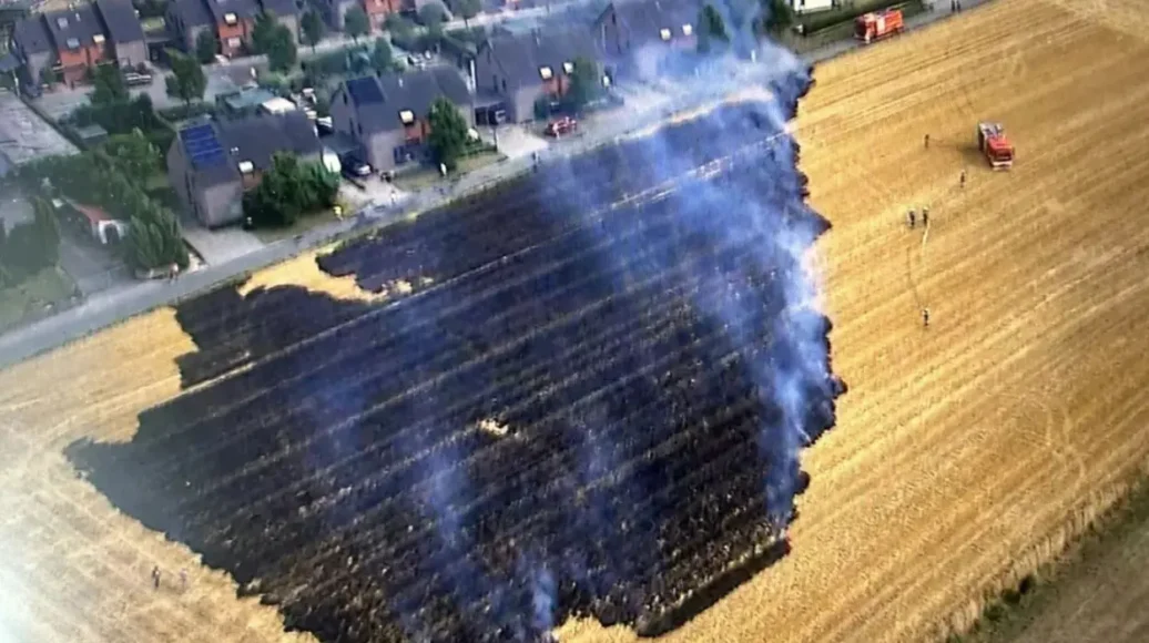 Fires Erupt in Dilbeek and West Brabant Amid Heat and Drought