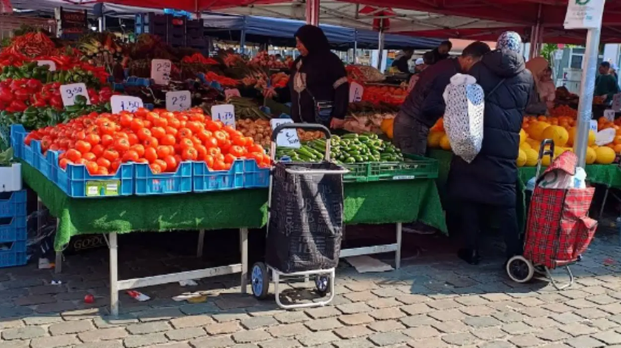 Invasive fruit fly detected at Sint-Jans-Molenbeek market