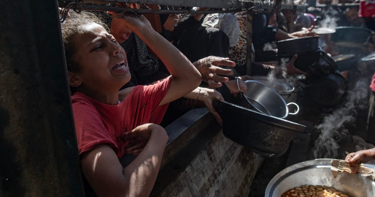 Israel Temporarily Halts Military Activity at Gaza Aid Sites Amid Rising Starvation and Casualties