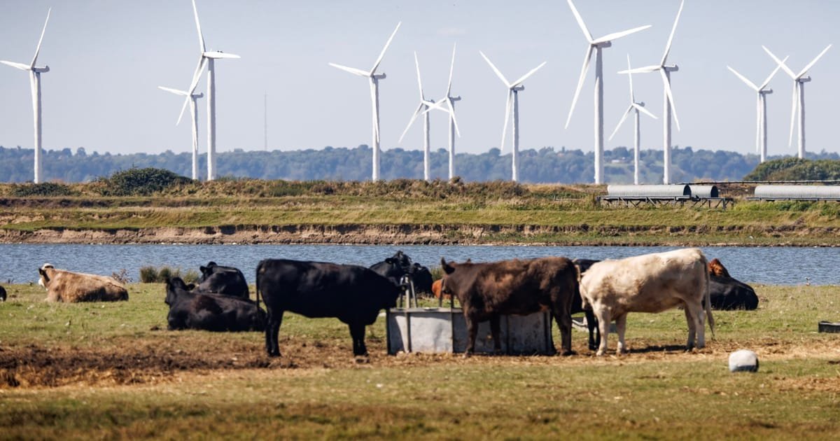 UK Strives to Protect Animal Welfare Standards in Brexit Reset Deal