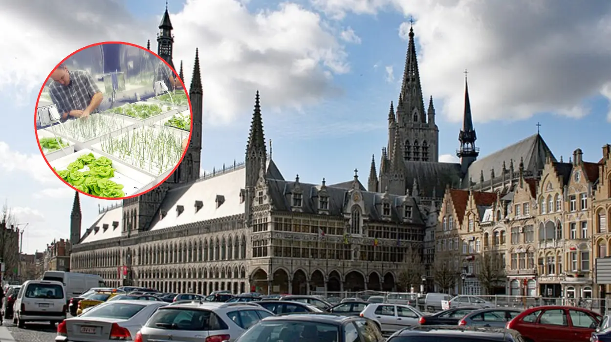 Boudry Family Launches Large-Scale Hydroponic Leek Production in Ypres