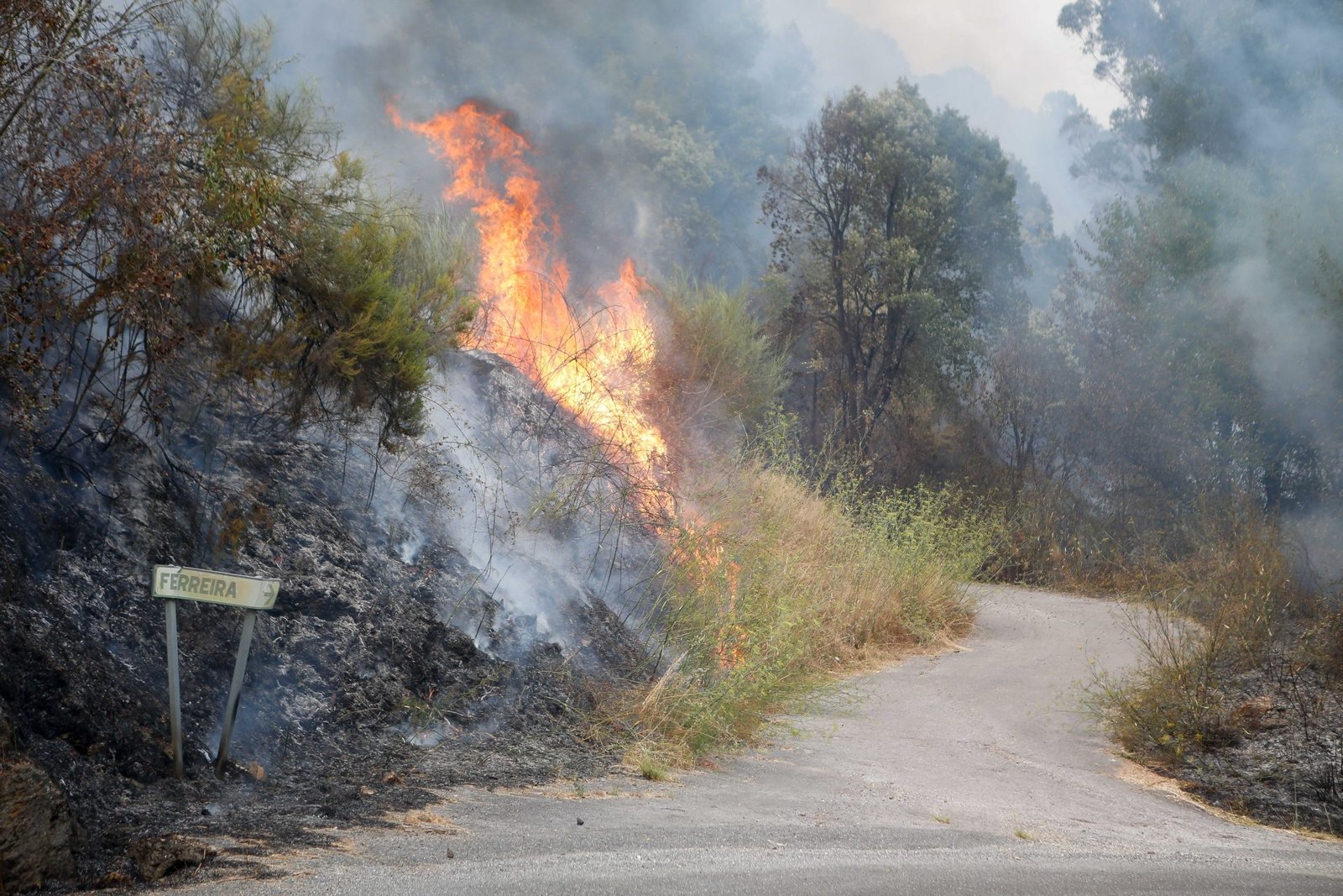 EU Deploys Resources and Firefighters from 7 Member States to Assist Spain with Wildfires