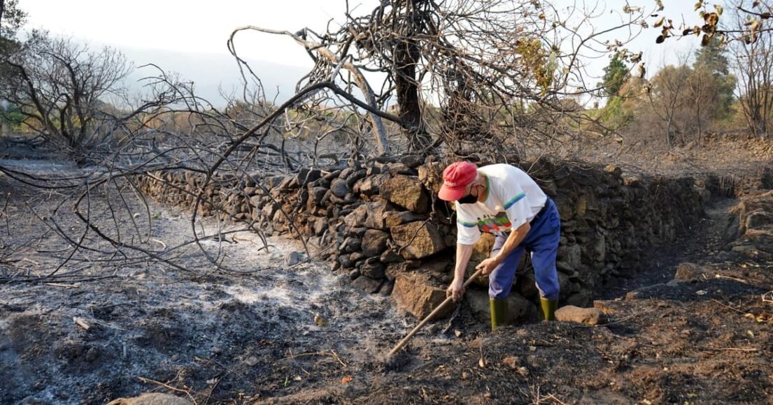 EU Wildfires Reach Record High, Scorching Area Larger Than Cyprus