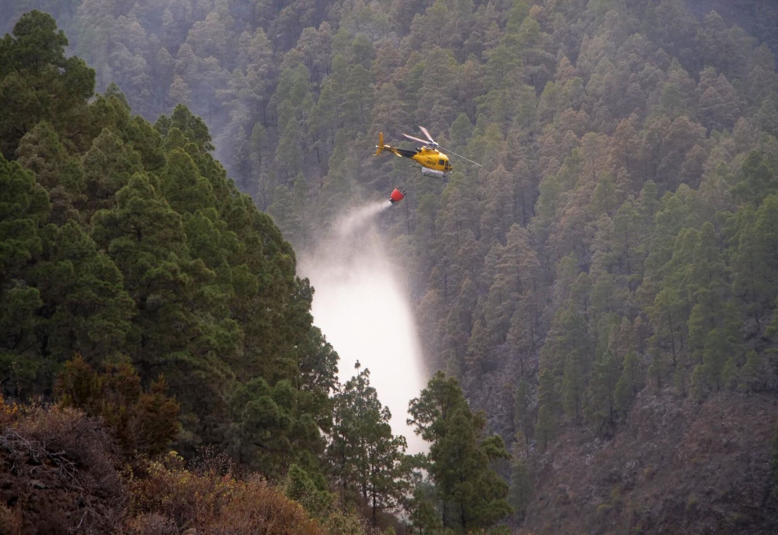 European Commission Offers Support Resources for Fire Combat Efforts