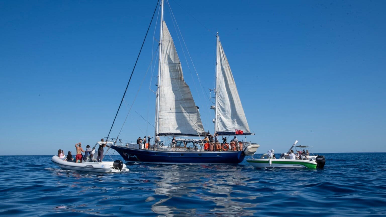 Facing Gaza’s Blockade: Can the Sumud Flotilla Make a Difference?
