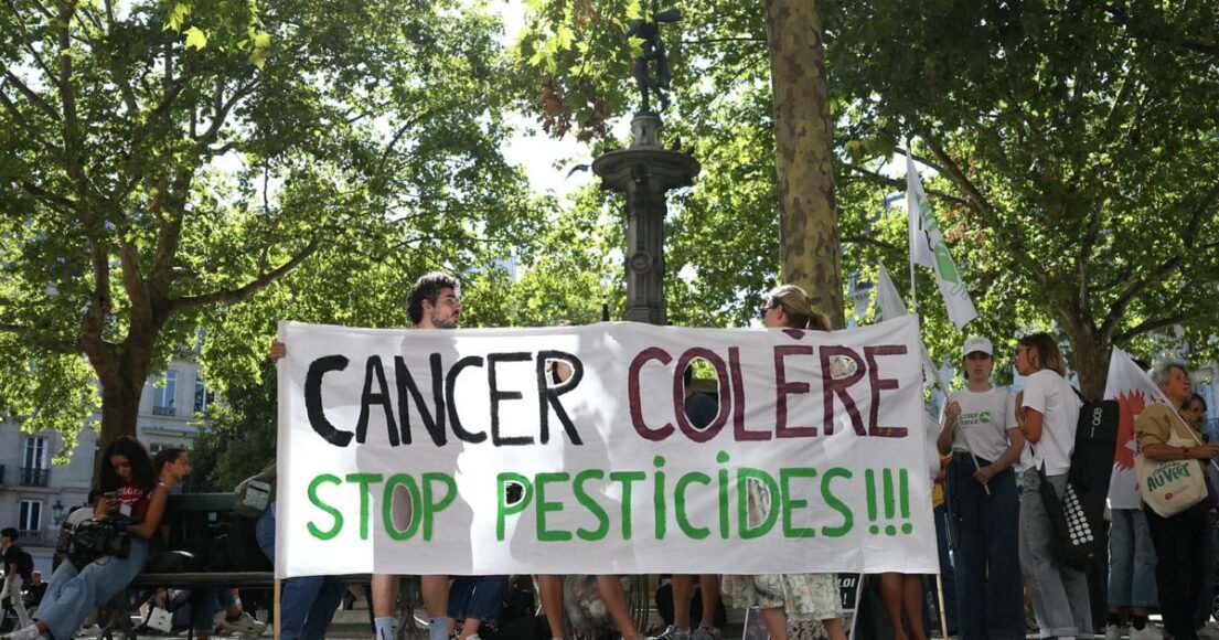 France’s Highest Court Blocks Return of Controversial Insecticide