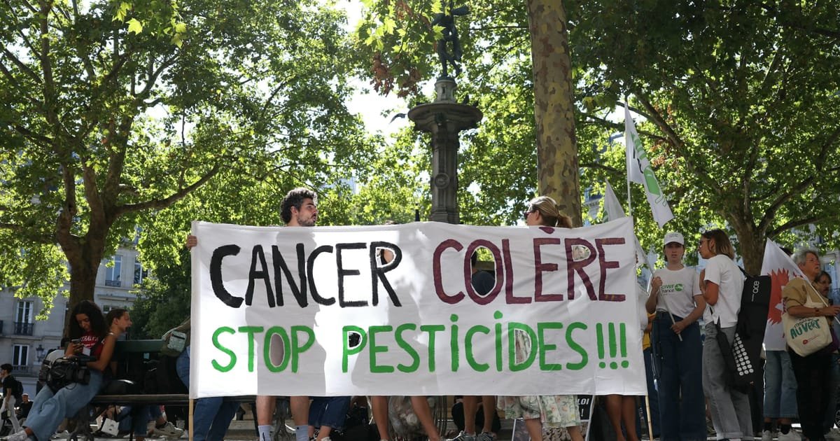 France’s Highest Court Blocks Return of Controversial Insecticide