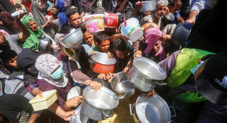 Gaza Strip: Aid Groups Warn of Escalating Famine and Civilian Attacks
