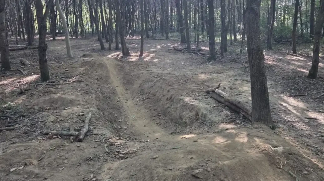 Illegal Cycling Trail Found in Grimbergen Lintbos: Mayor Takes Action